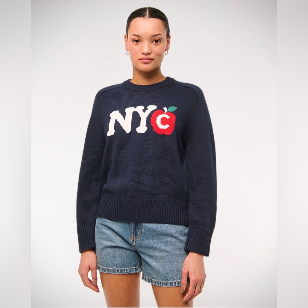 Abercrombie & Fitch Navy NYC Sweater